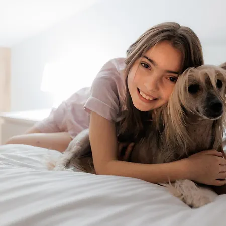 Bizon Village Hétvégi ház *