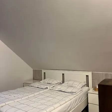 Bizon Village Hétvégi ház