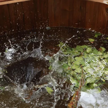 Bizon Village カントリーハウス Zalesie Górne