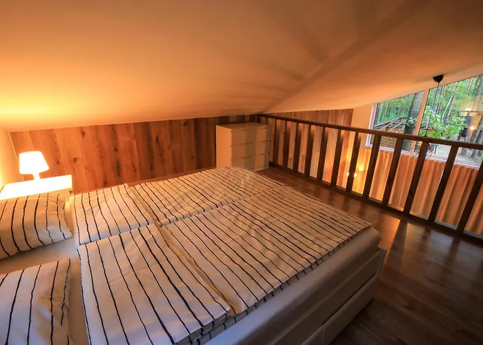 Bizon Village Zalesie Górne