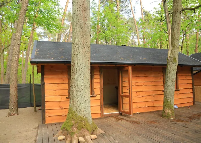 Bizon Village Zalesie Górne