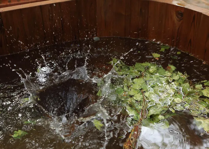 Bizon Village カントリーハウス Zalesie Górne